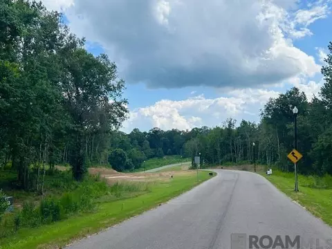 4040 Oak Run Dr, Saint Francisville, LA 70775