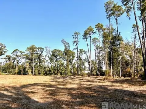 tbd Catholic Hall Rd, Albany, LA 70711