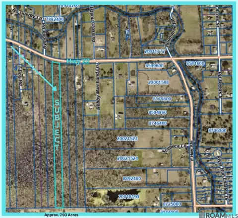 tbd La Hwy 22, Saint Amant, LA 70774