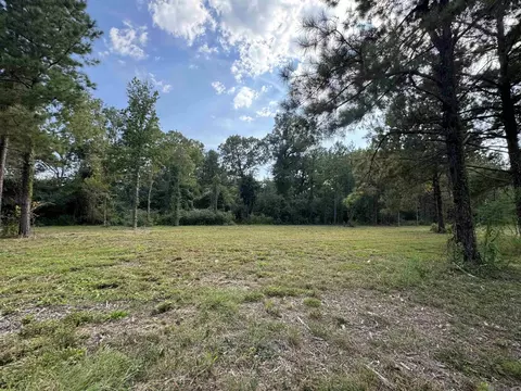 Tract D La Hwy 16, Denham Springs, LA 70706