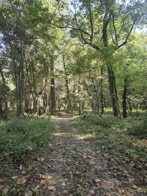 4914 Cat Island Rd, Saint Francisville, LA 70775