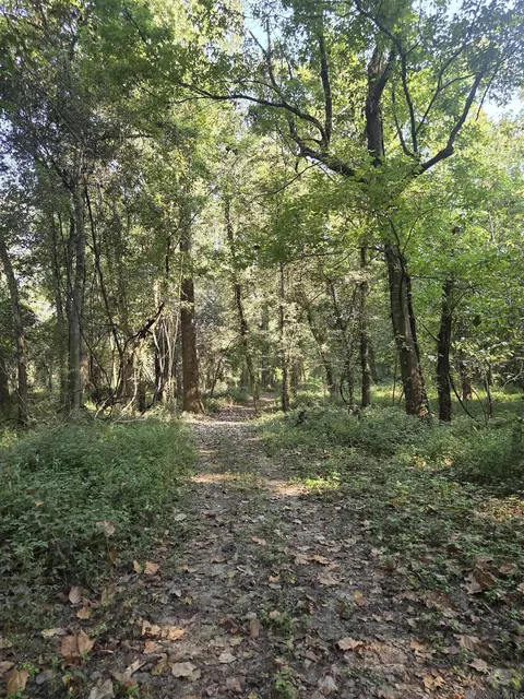 4914 Cat Island Rd, Saint Francisville, LA 70775