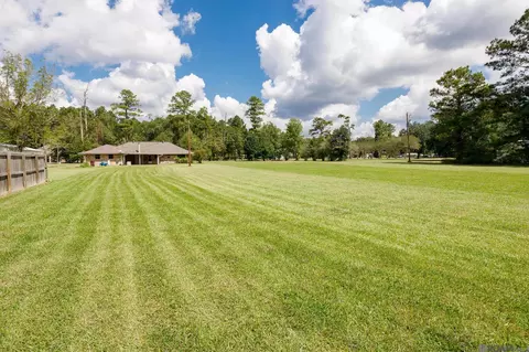 Exterior - 14676 Picou Rd, Maurepas, LA 70449 photo 4 of 8