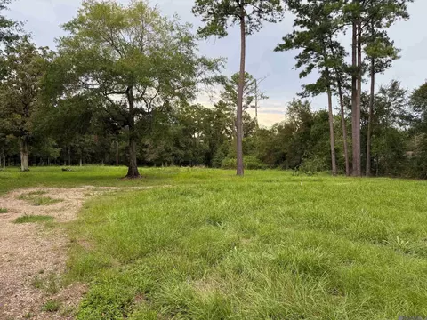 20195 Perrilloux Rd, Livingston, LA 70754