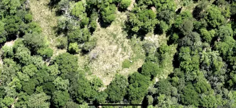 5392 N Gilead Rd, Clinton, LA 70722