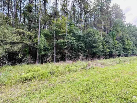 lot19 La Hwy 449, Pine Grove, LA 70453