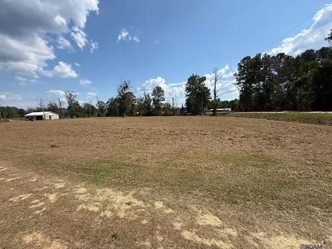 35712 Weiss Rd, Walker, LA 70785 photo 4