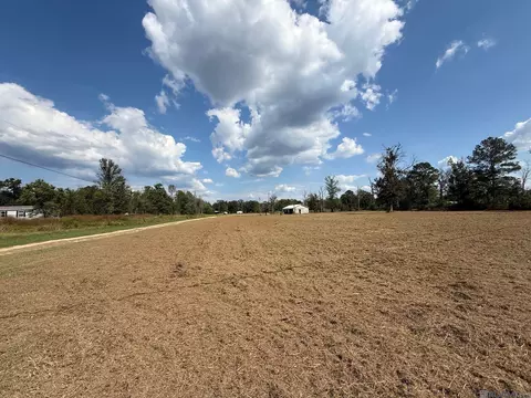 35712 Weiss Rd, Walker, LA 70785 photo 5