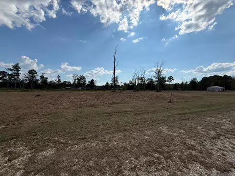 35712 Weiss Rd, Walker, LA 70785 photo 6