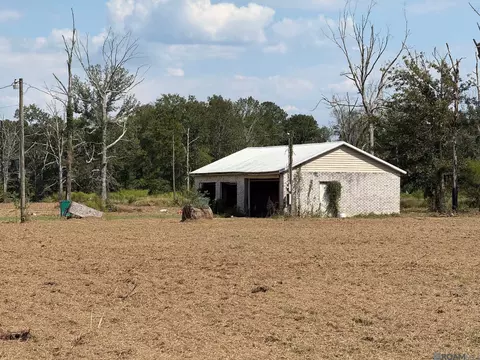 35712 Weiss Rd, Walker, LA 70785 photo 10