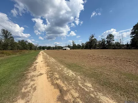 35712 Weiss Rd, Walker, LA 70785 photo 3