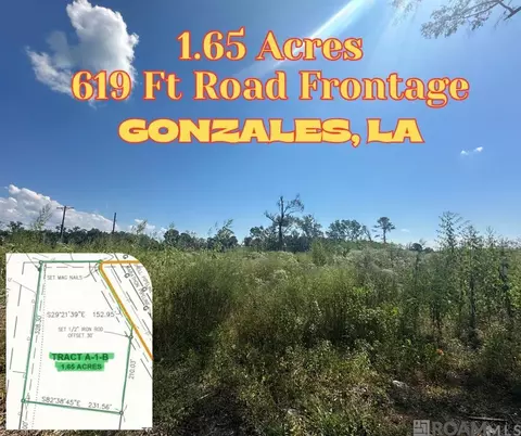 1 65 Acres Church Point Rd, Gonzales, LA 70737
