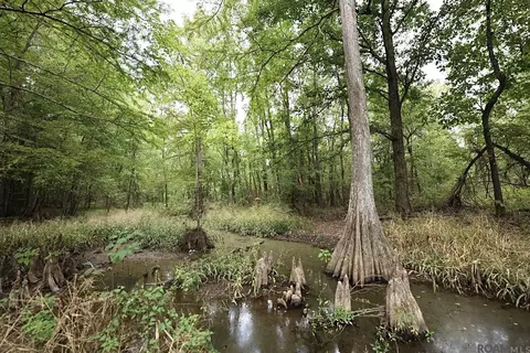 211 Fred Rogers Rd, Montgomery, LA 70394