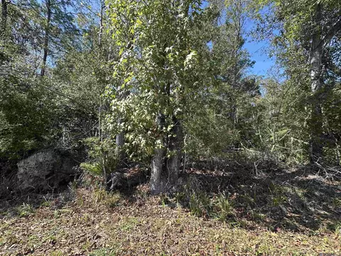 18943 Austin St, Springfield, LA 70462 photo 10
