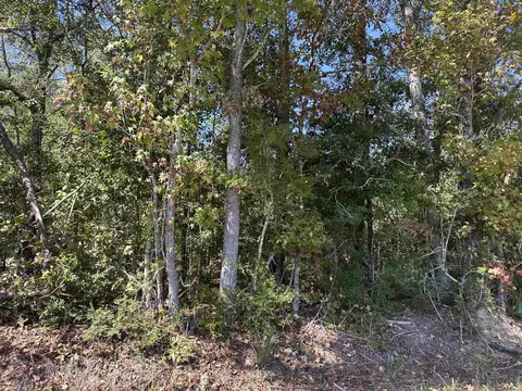 18943 Austin St, Springfield, LA 70462 photo 3