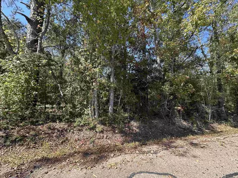 18943 Austin St, Springfield, LA 70462 photo 8