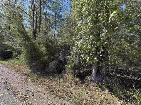 18943 Austin St, Springfield, LA 70462 photo 14