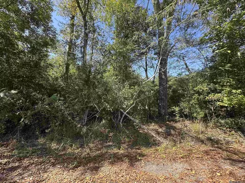 18943 Austin St, Springfield, LA 70462 photo 9