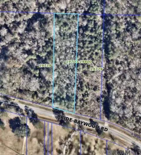19759 Pride-baywood Rd, Greenwell Springs, LA 70739