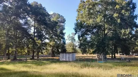 38707 John Lanier Rd, Walker, LA 70785