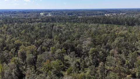 tbd La Hwy 63, Clinton, LA 70722