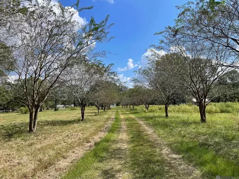 37688 Webb Rd, Denham Springs, LA 70706