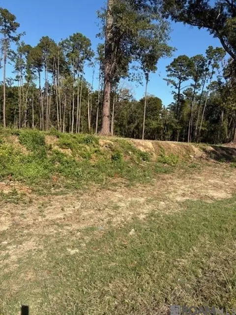 24087 La Hwy 22 Hwy, Maurepas, LA 70449