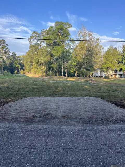 31287 Norred Rd, Holden, LA 70744