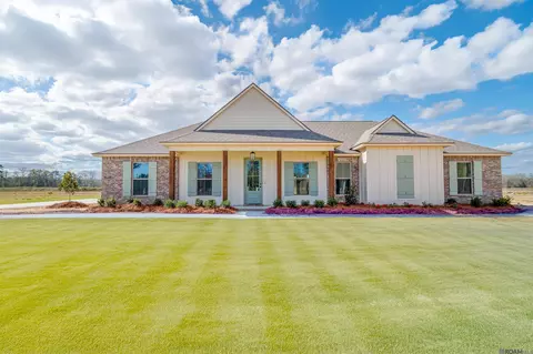 24167 Red Tail Ln, Denham Springs, LA 70726