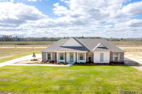 24167 Red Tail Ln, Denham Springs, LA 70726