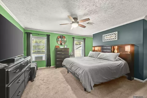 37059 Myerson Ln, Walker, LA 70785 photo 9