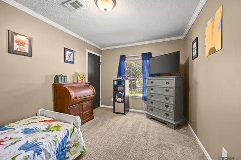 37059 Myerson Ln, Walker, LA 70785 photo 15