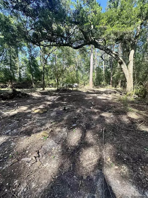 tbd Caleb Ln, Springfield, LA 70462
