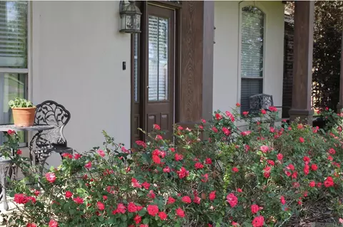 8788 Wyeth Dr, Denham Springs, LA 70706