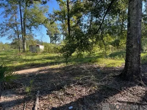 29960 Henderson Ln, Walker, LA 70785 photo 1