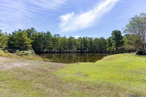 View/Area - 23854 Monarch Pt, Springfield, LA 70462 photo 1 of 1