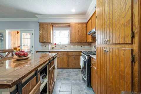 14310 Latil St, Walker, LA 70785 photo 8