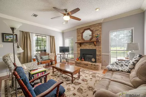 14310 Latil St, Walker, LA 70785 photo 4