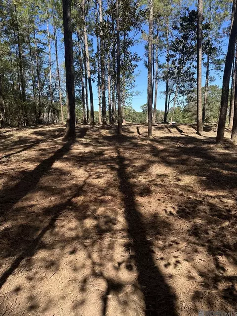 0 Johnny Martin Rd, Franklinton, LA 70438