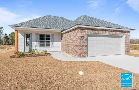 24184 Sharp Shinned Dr, Denham Springs, LA 70726