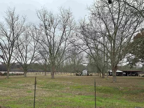 8874 Elton St, Livonia, LA 70755