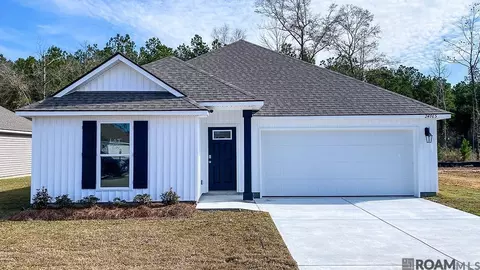 24765 Berry Ridge Ln, Springfield, LA 70462