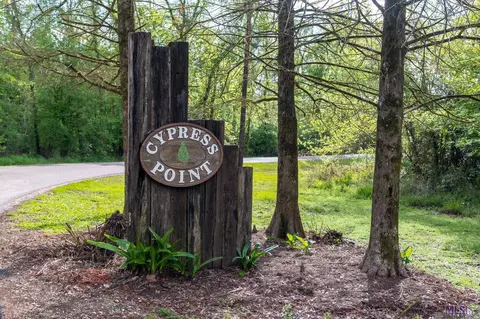 15898 Cypress Point Ln, French Settlement, LA 70733
