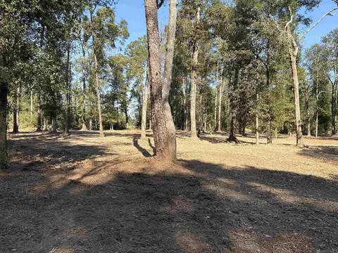 334 Westmoreland Ln, Montpelier, LA 70422
