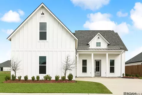 17338 Saw Grass Trail Ave, Prairieville, LA 70769