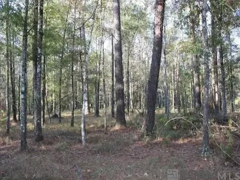 28545 Coker Vail Rd, Holden, LA 70744