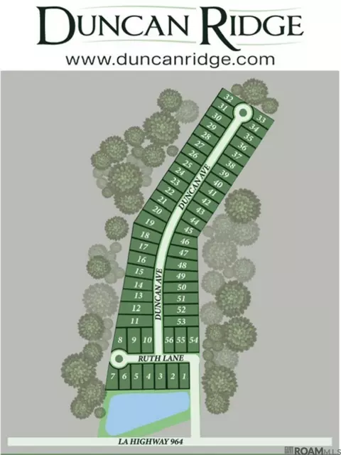 lot32 Duncan Ave, Jackson, LA 70748