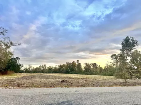 lot Apt 2-a La Hwy 22, Darrow, LA 70725