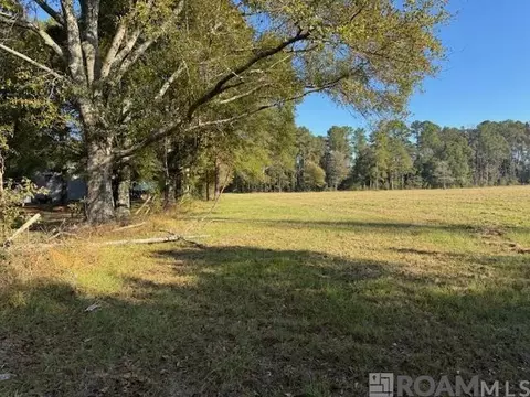 tbd Buck Carroll Rd, Walker, LA 70785 photo 2