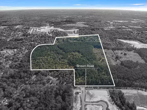 141 35 Acres Brown Rd, Denham Springs, LA 70726